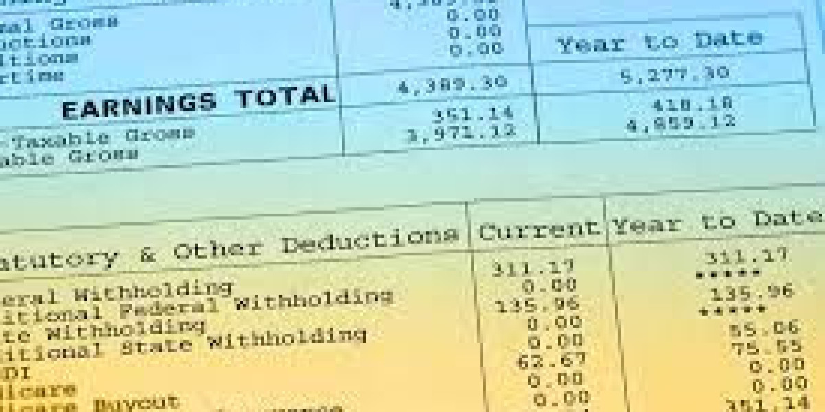 Online Pay Stub Generator: Everything You Need to Know